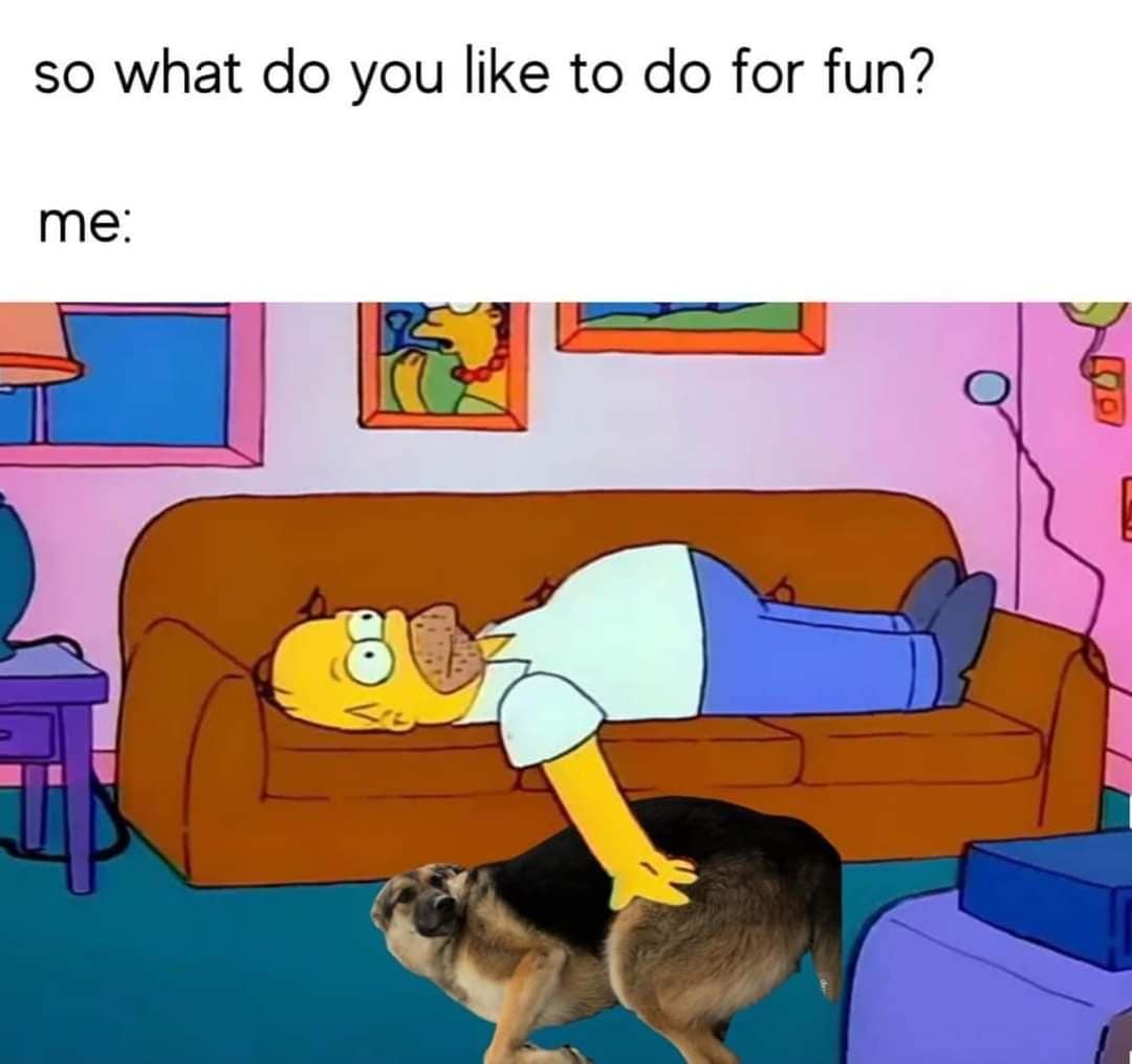 so what do you like to do for fun? me: