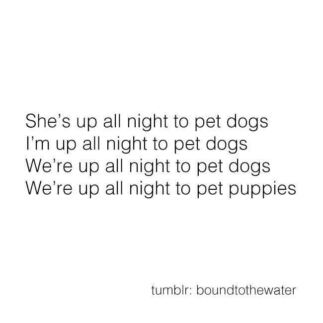 She's up all night to pet dogs I'm up all night to pet dogs We're up all night to pet dogs We're up all night to pet puppies tumblr: boundtothewater