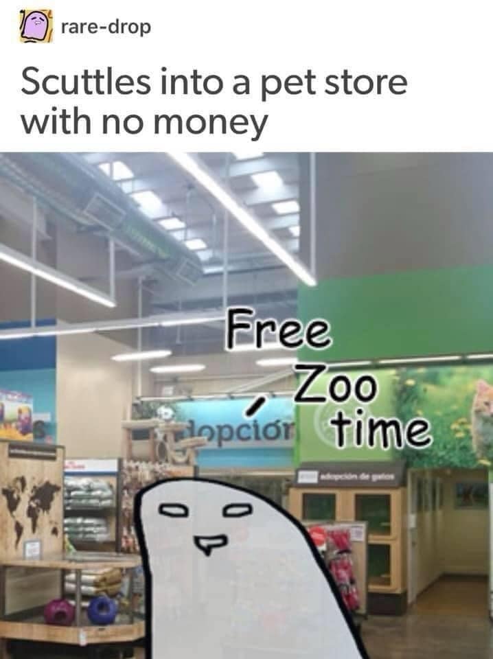 rare-drop Scuttles into a pet store with no money Free Zoo lopcior time