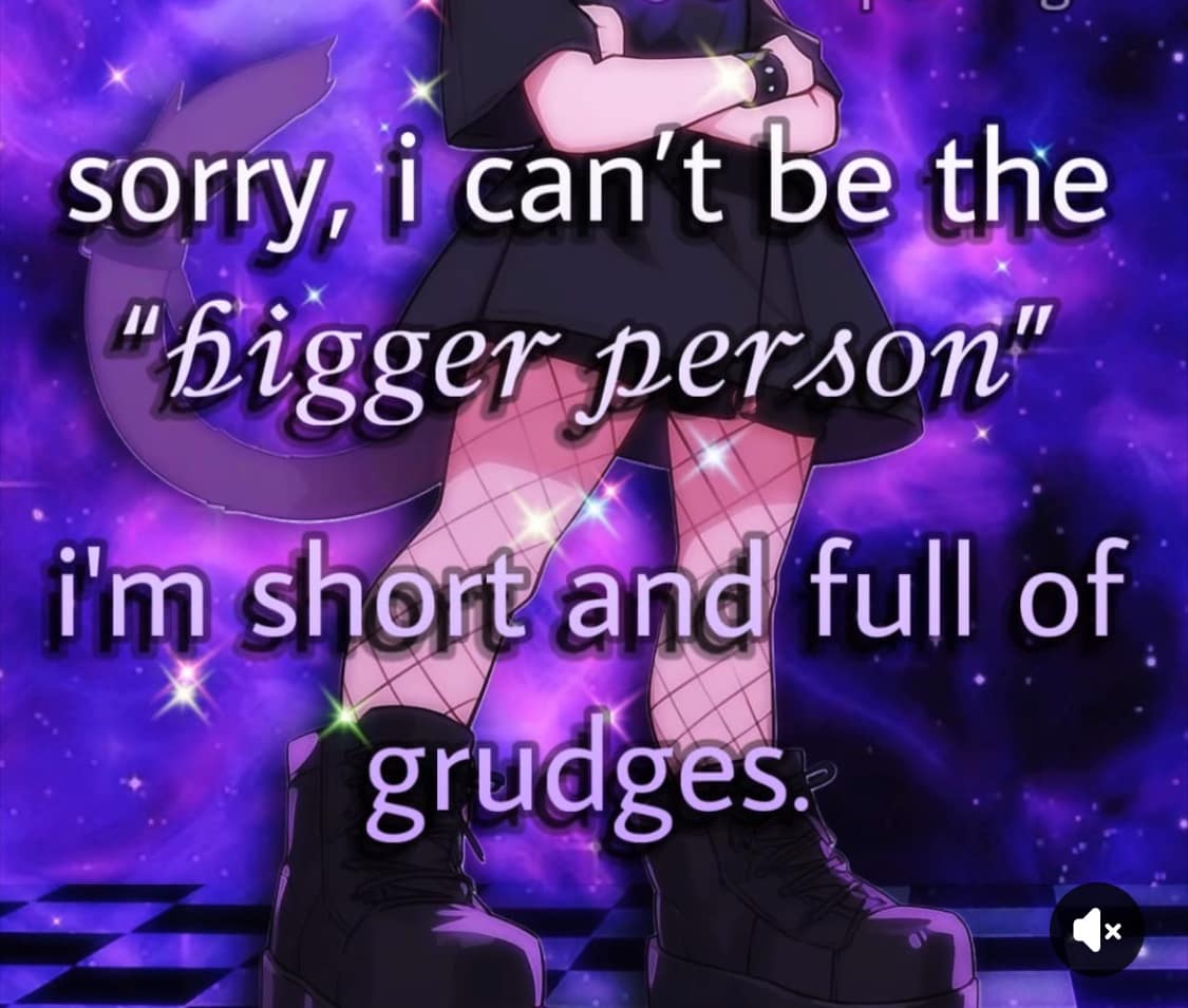 sorry, i can't be the "bigger person" i'm short and full of grudges: