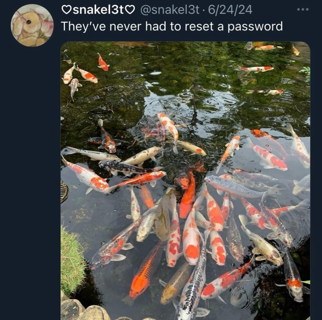 They've never had to reset a password