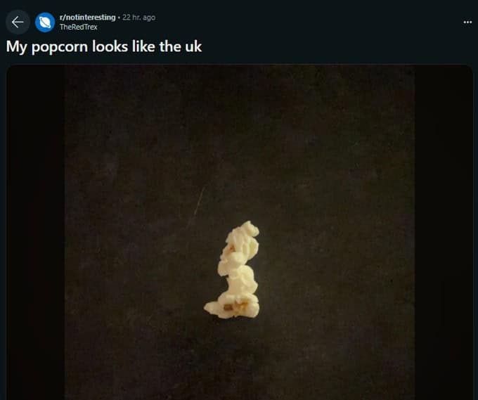 funny reddit posts, hilarious reddit posts, amusing reddit posts, entertaining reddit posts