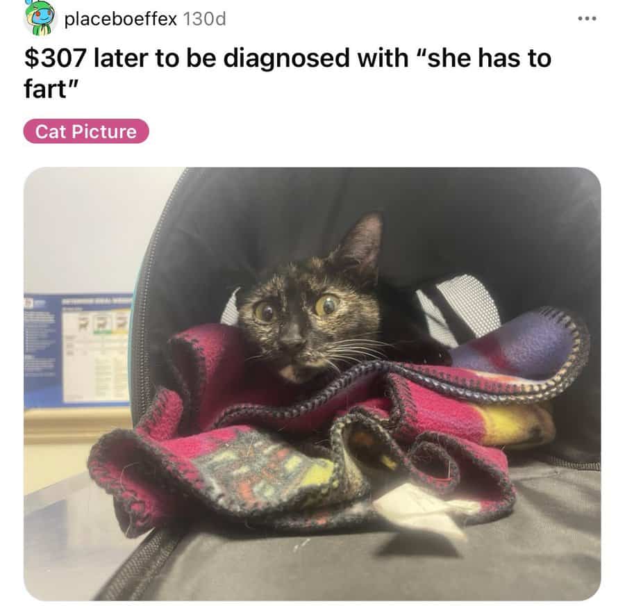 funny reddit posts, hilarious reddit posts, amusing reddit posts, entertaining reddit posts