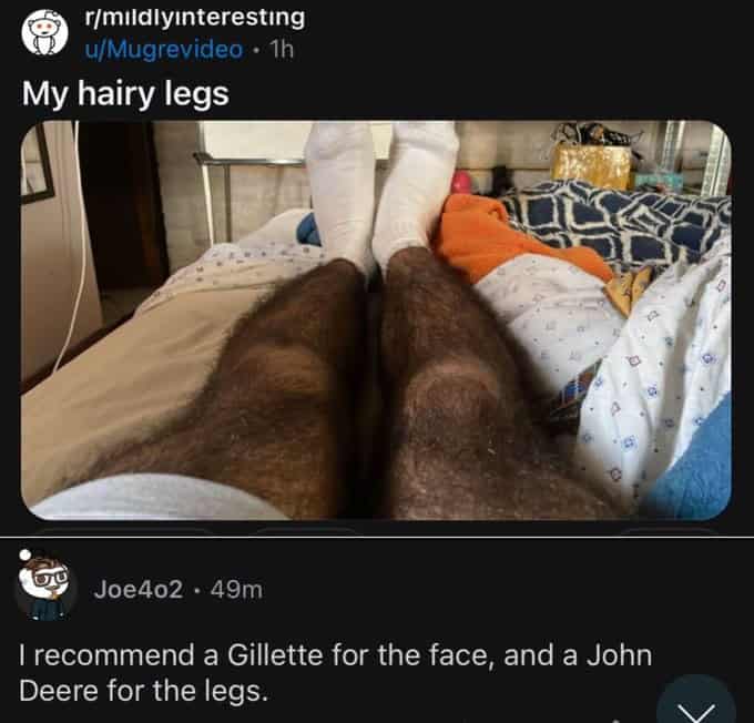 funny reddit posts, hilarious reddit posts, amusing reddit posts, entertaining reddit posts