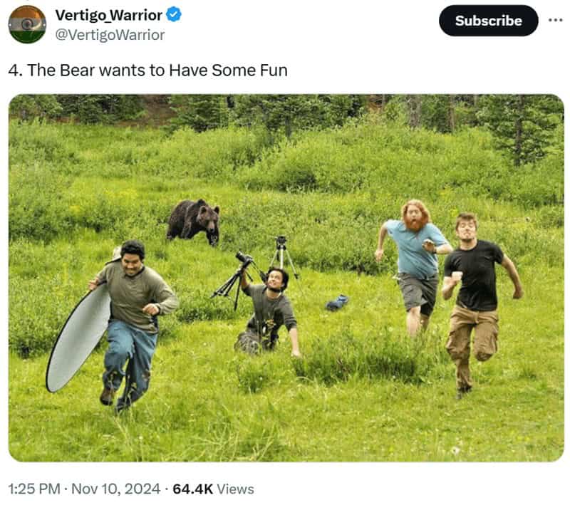 funny wildlife photos, funny wildlife photography, comedic animal images, hilarious fauna shots, wildlife humor pics, wildlife photography, nature camera skills, animal photo capturing, outdoor shoot artistry, wildlife jokes, animal mischief humor, nature-based quips, zoological gags