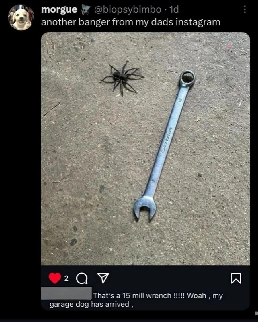 morgue @biopsybimbo • 1d another banger from my dads instagram 2 That's a 15 mill wrench!!!!! Woah, my garage dog has arrived,