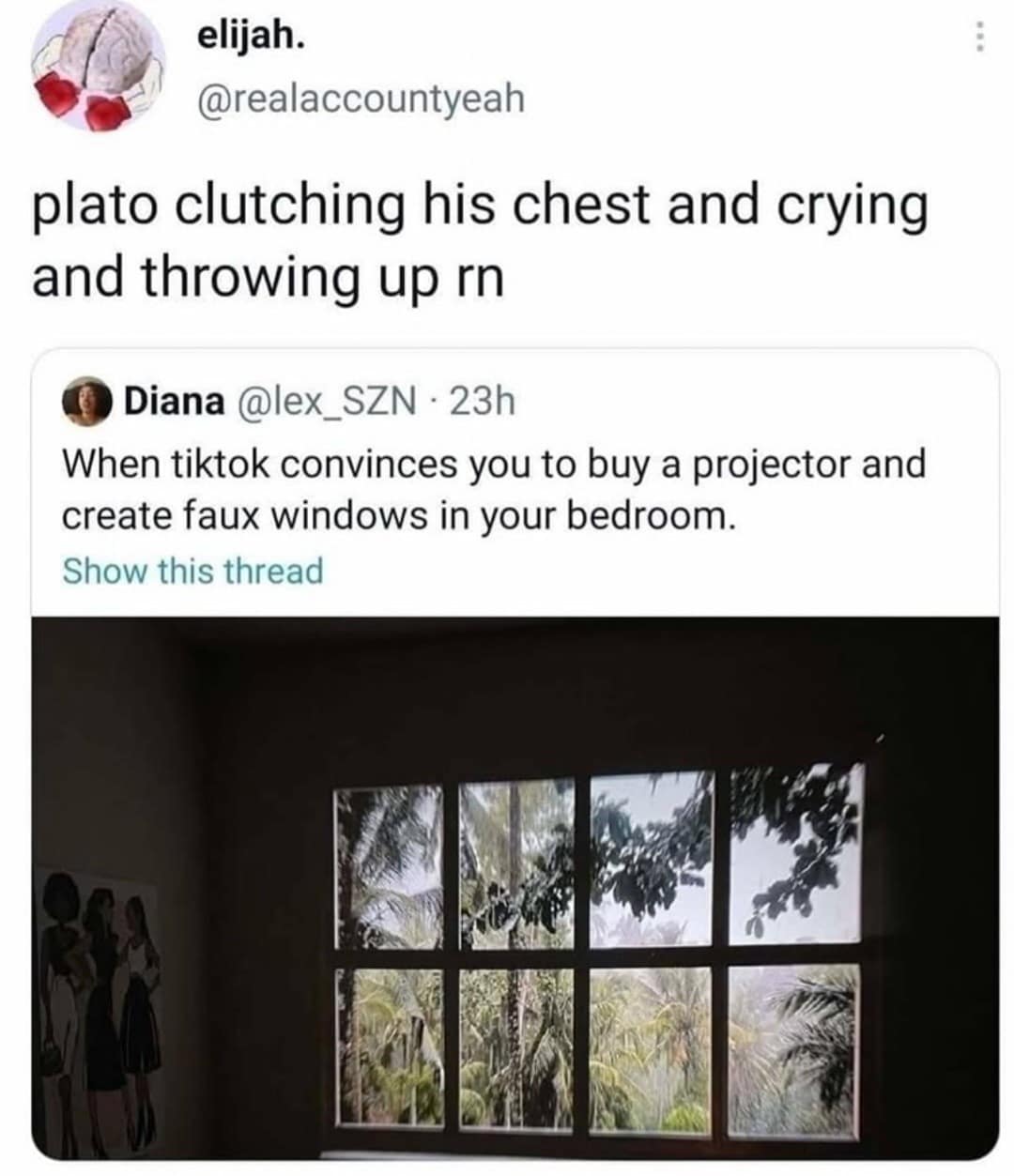 elijah. @realaccountyeah plato clutching his chest and crying and throwing up rn Diana @lex_SZN • 23h When tiktok convinces you to buy a projector and create faux windows in your bedroom. Show this thread