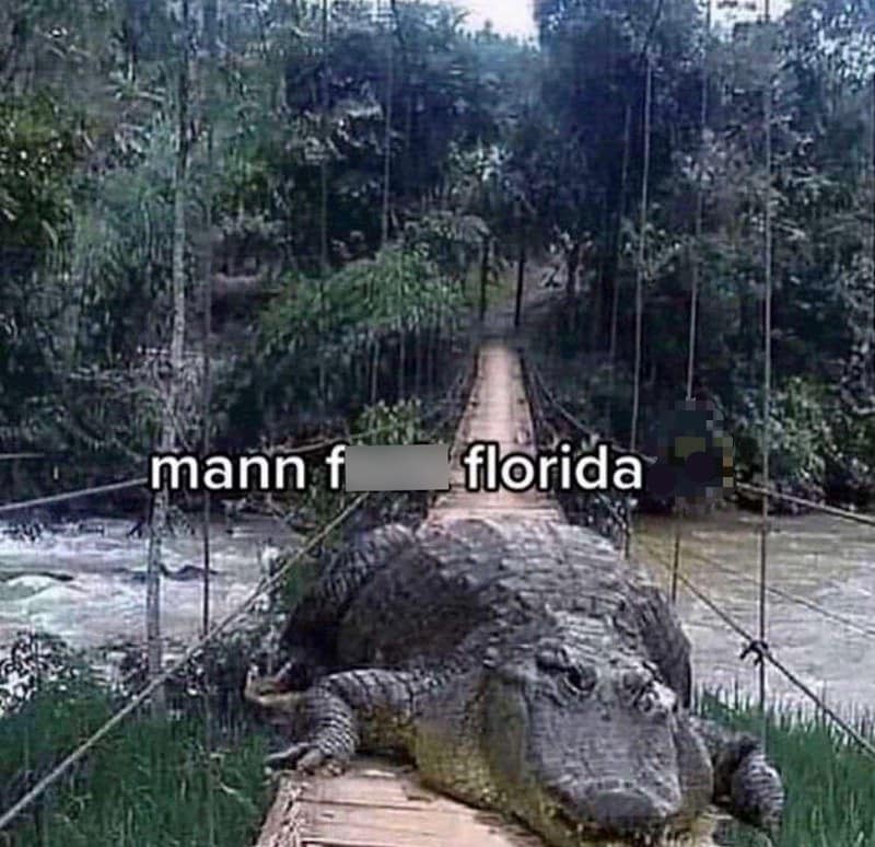 mann f florida