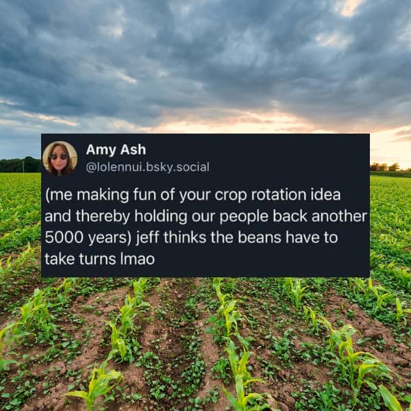 Amy Ash @lolennui.bsky.social (me making fun of your crop rotation idea and thereby holding our people back another 5000 years) jeff thinks the beans have to take turns Imao