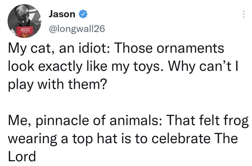 Jason v @longwall26 My cat, an idiot: Those ornaments look exactly like my toys. Why can't l play with them? Me, pinnacle of animals: That felt frog wearing a top hat is to celebrate The Lord