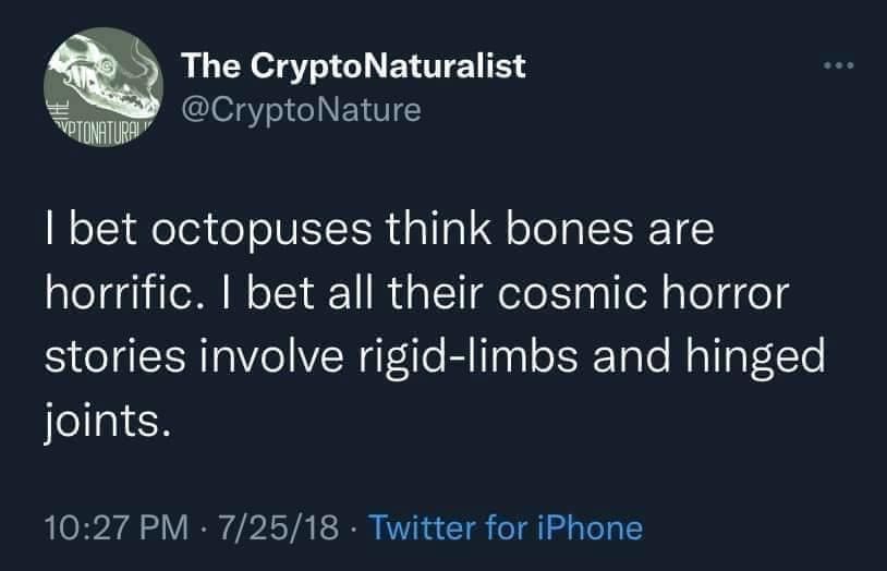 meme dump, funny memes, hilarious memes, meme roundup, meme assortment, meme compilation, witty image humor, clever online jesting, amusing visual jokes, uproarious digital funnies, side-splitting image banter, laugh-inducing pixel pics, best meme collection, top-tier humor set, premium joke lineup, choice comedic gallery