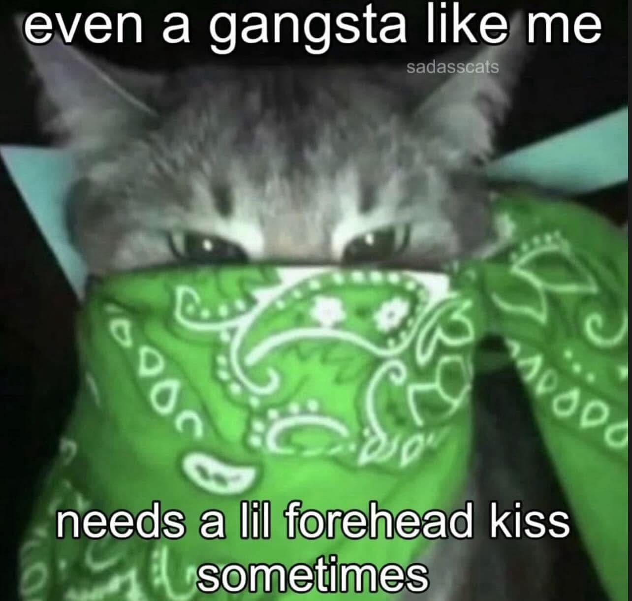 meme dump, funny memes, hilarious memes, Dive into a Monday meme dump of 30 random images turning productivity on its head. Enjoy funny memes, the most hilarious memes