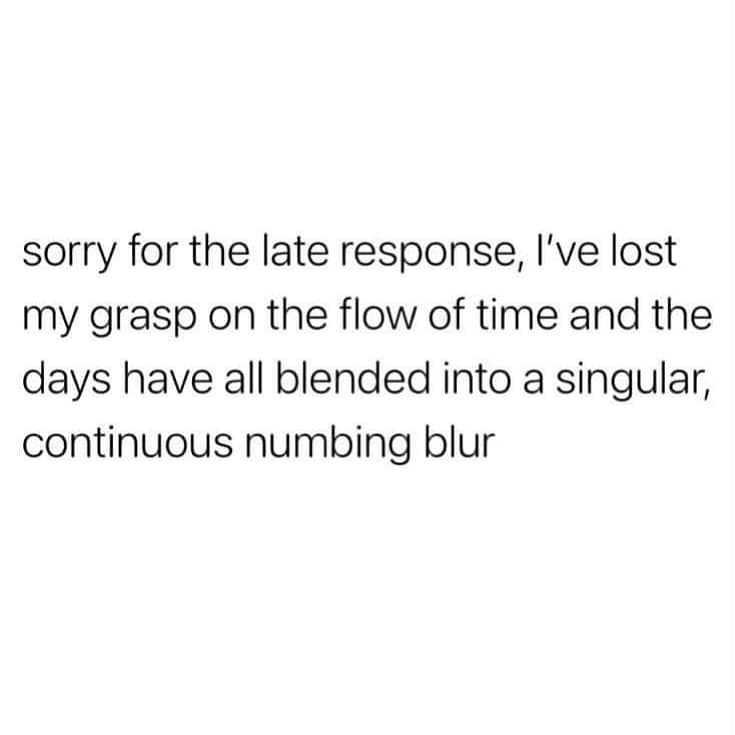 meme dump, funny memes, hilarious memes, viral memes, viral internet jokes, meme collection, trending internet humor, funny viral posts