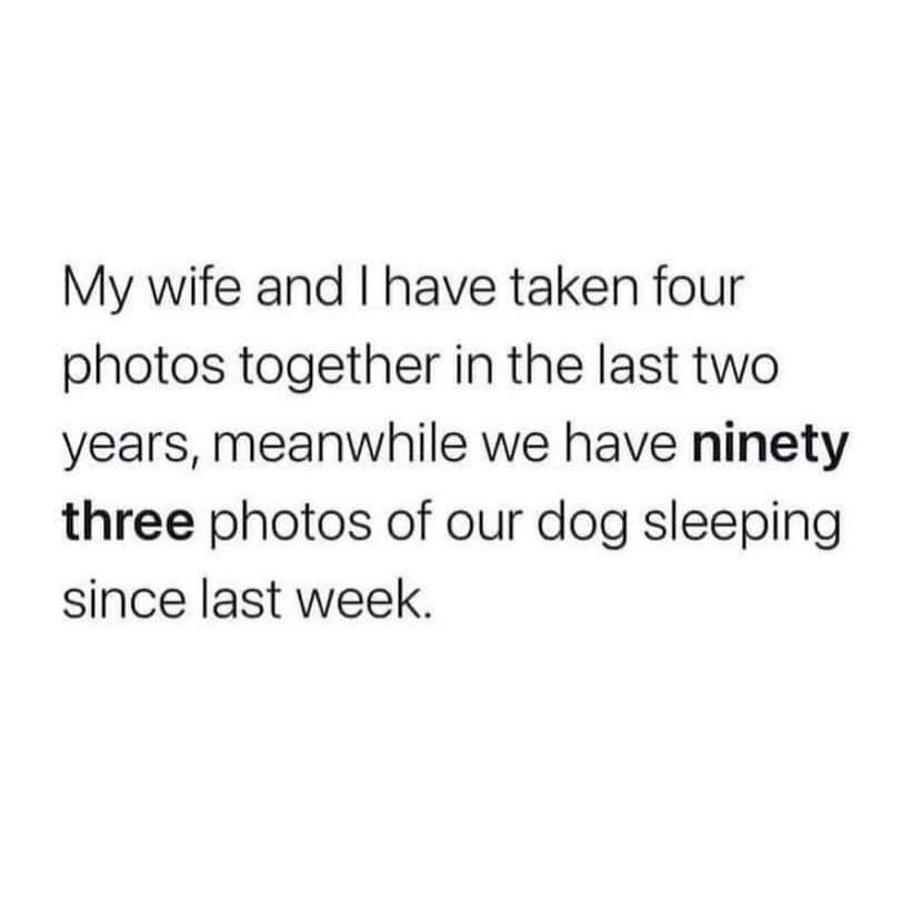 meme dump, funny memes, hilarious memes, viral memes, viral internet jokes, meme collection, trending internet humor, funny viral posts