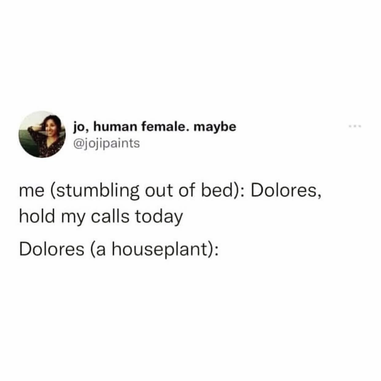 jo, human female. maybe @jojipaints me (stumbling out of bed): Dolores, hold my calls today Dolores (a houseplant):