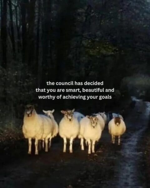 Persistent Meems Motivational Memes: 27 Gems For Some Positive Energy