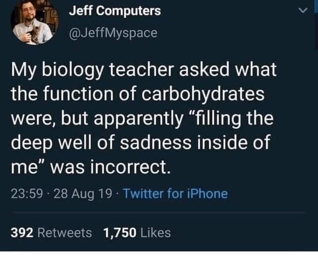 My biology teacher asked what the function of carbohydrates were, but apparently "filling the deep well of sadness inside of me" was incorrect.