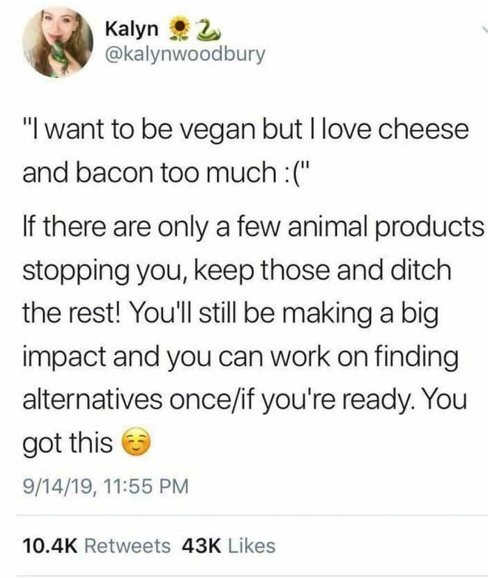 "I want to be vegan but I love cheese and bacon too much :(" If there are only a few animal products stopping you, keep those and ditch the rest! You'll still be making a big impact and you can work on finding alternatives once/if you're ready. You got this