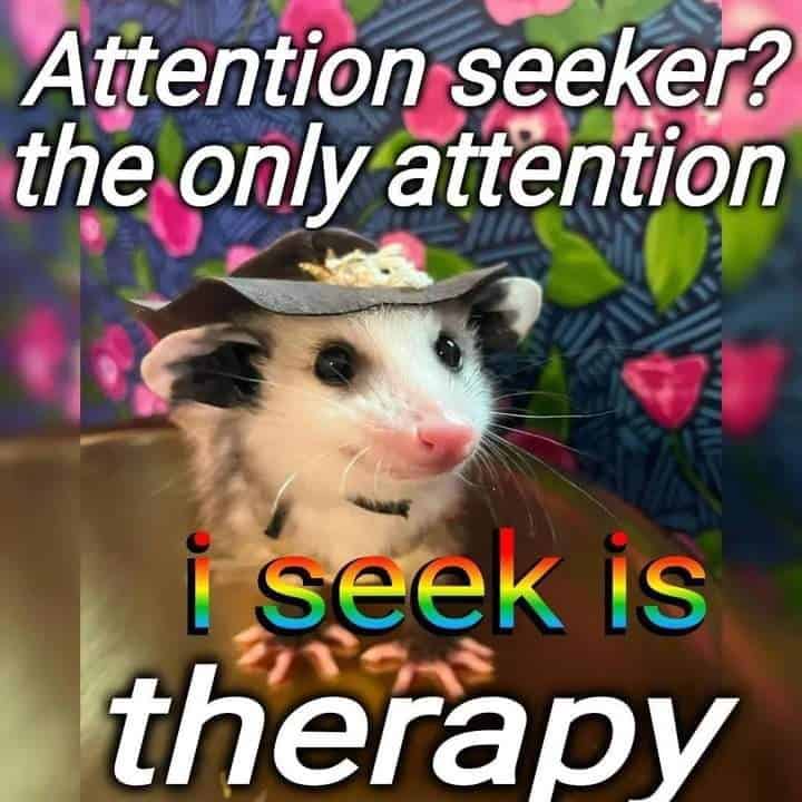 possum meme, possum memes, funny possum memes, possum humor, possum jokes, wildlife memes, nature memes