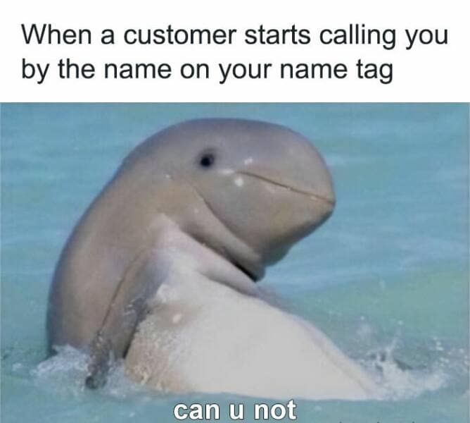 retail memes, retail meme collection, retail meme gallery, retail-themed memes, retail humor, retail comedy, retail witty banter, retail amusing commentary funny retail images, retail humorous pics, retail laughable scenes, retail entertaining visuals relatable retail content, retail everyday realities, retail common struggles, retail shared experiences