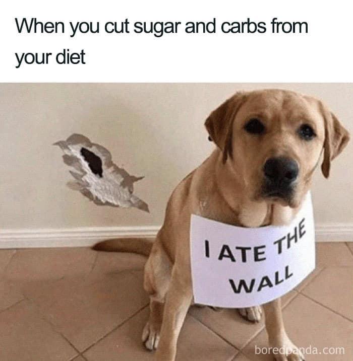 When you cut sugar and carbs from your diet I ATE WALL