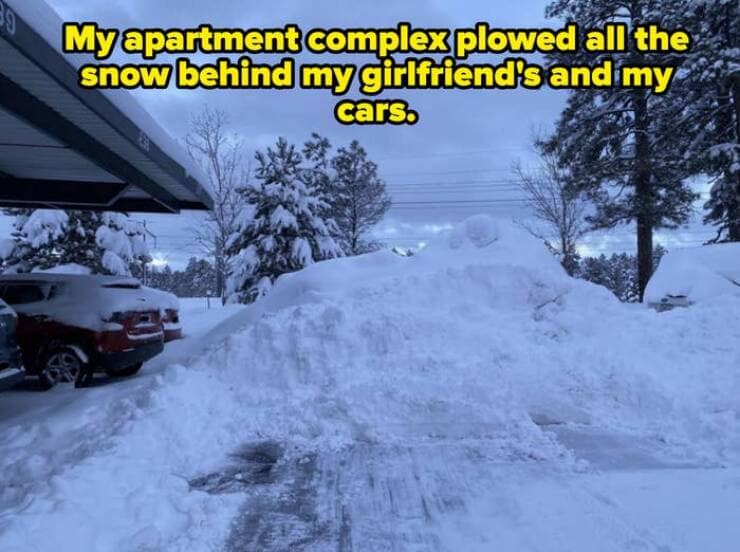 My apartment complex plowed all the snow behind my girlfriend's and my cars