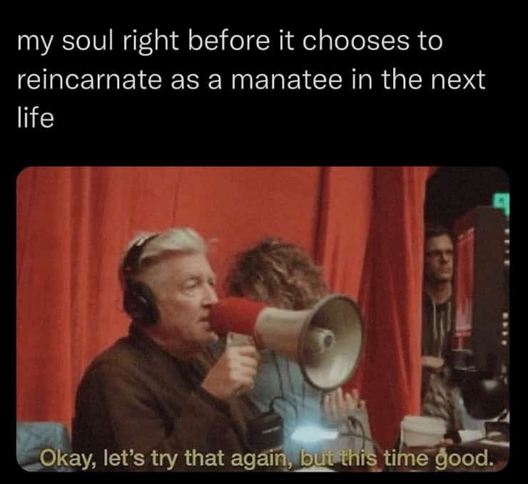 david lynch memes, david lynch, David Lynch tributes, David Lynch homage, David Lynch remembrance, David Lynch fan memorials, Surreal film memes, weird movie memes, bizarre cinema memes, surreal cinematic humor, Cult director memes, iconic filmmaker memes, arthouse director memes, legendary auteur memes
