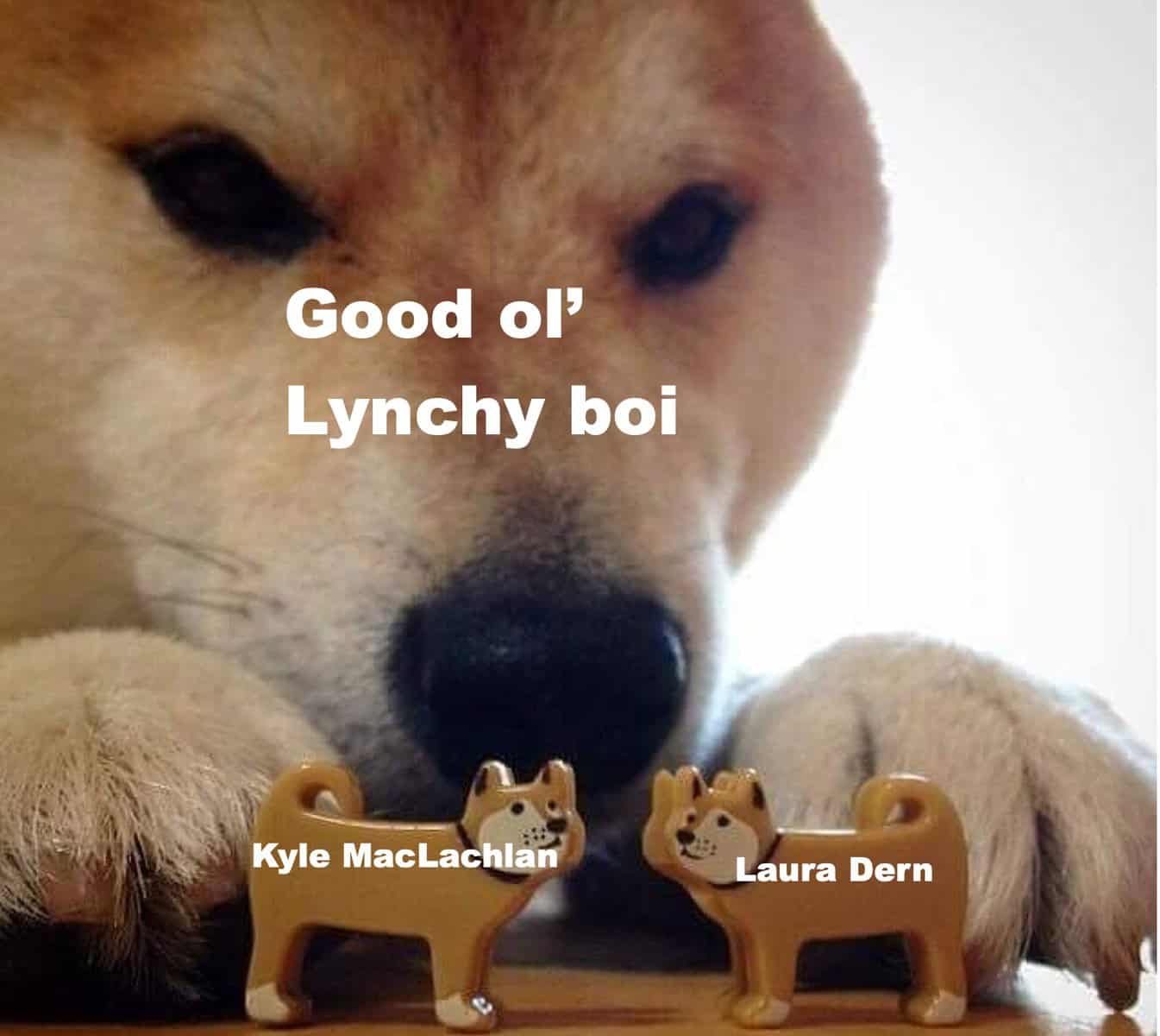 david lynch memes, david lynch, David Lynch tributes, David Lynch homage, David Lynch remembrance, David Lynch fan memorials, Surreal film memes, weird movie memes, bizarre cinema memes, surreal cinematic humor, Cult director memes, iconic filmmaker memes, arthouse director memes, legendary auteur memes