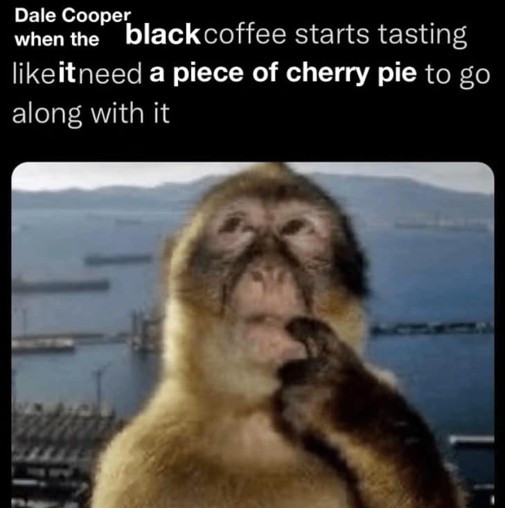 david lynch memes, david lynch, David Lynch tributes, David Lynch homage, David Lynch remembrance, David Lynch fan memorials, Surreal film memes, weird movie memes, bizarre cinema memes, surreal cinematic humor, Cult director memes, iconic filmmaker memes, arthouse director memes, legendary auteur memes