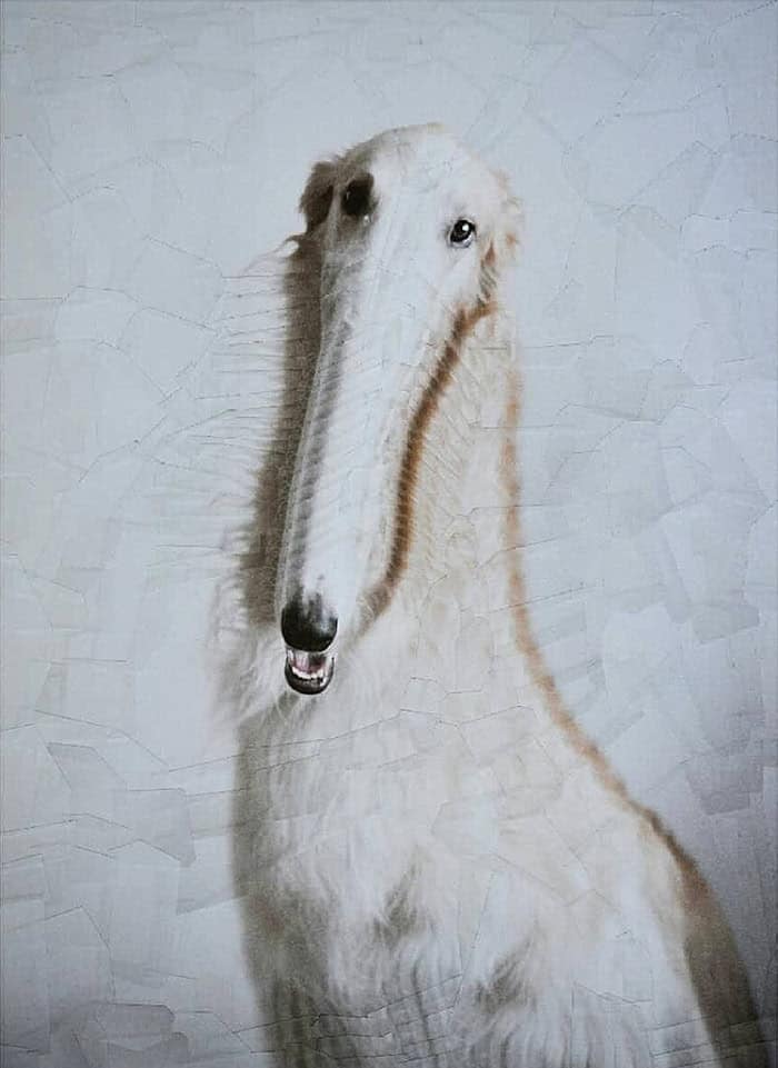 lola dupre, surreal collage, warped painting, bizarre art, animal paintings, creature-based art, fauna portraits, pet canvases, distorted portraits warped visuals, twisted figure art, reconfigured faces