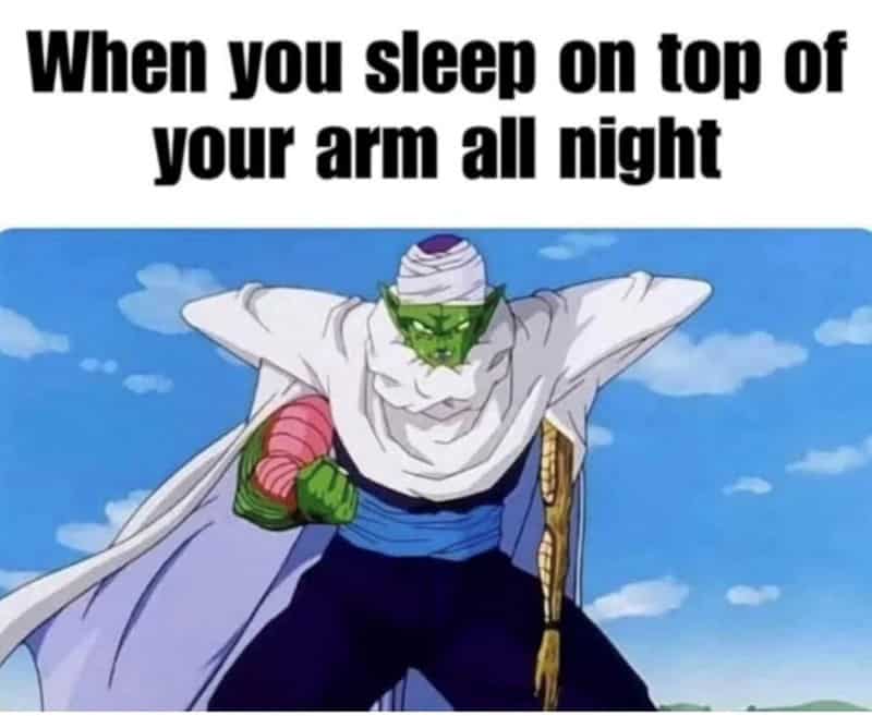 anime memes, otaku humor, weeb jokes, anime jokes, shonen memes, slice-of-life memes, anime parodies, battle anime humor, daily life jokes, cartoon spoofs