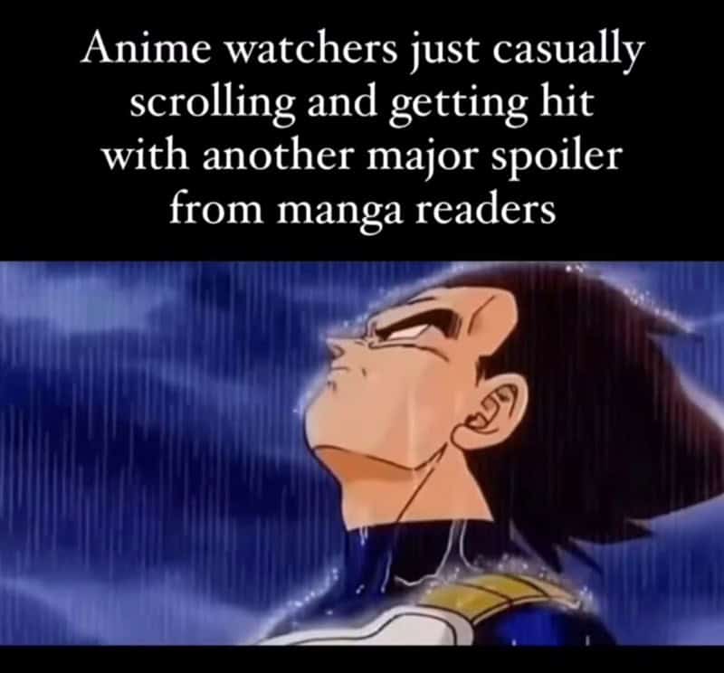 anime memes, otaku humor, weeb jokes, anime jokes, shonen memes, slice-of-life memes, anime parodies, battle anime humor, daily life jokes, cartoon spoofs