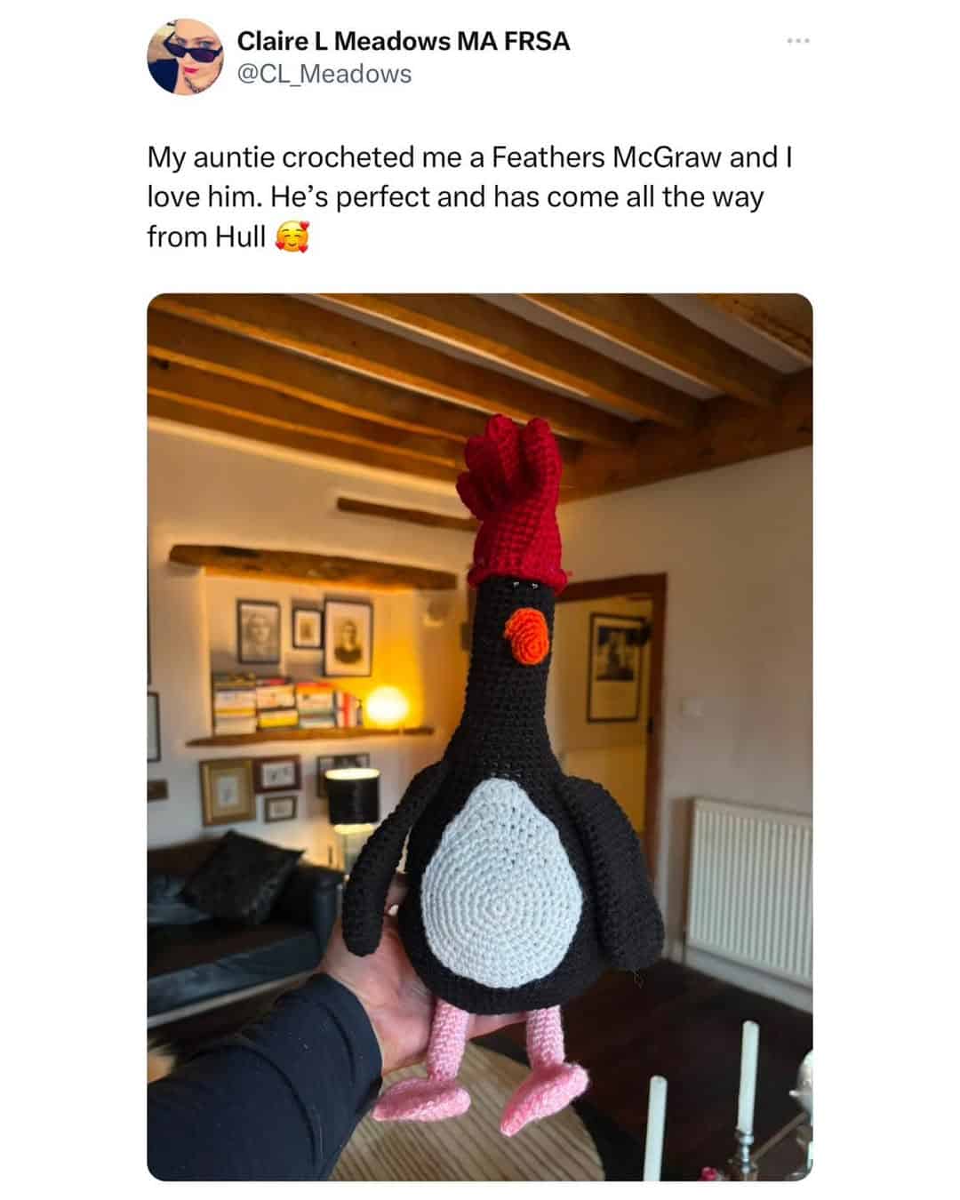 My auntie crocheted me a Feathers McGraw and I love him. He's perfect and has come all the way from Hull
