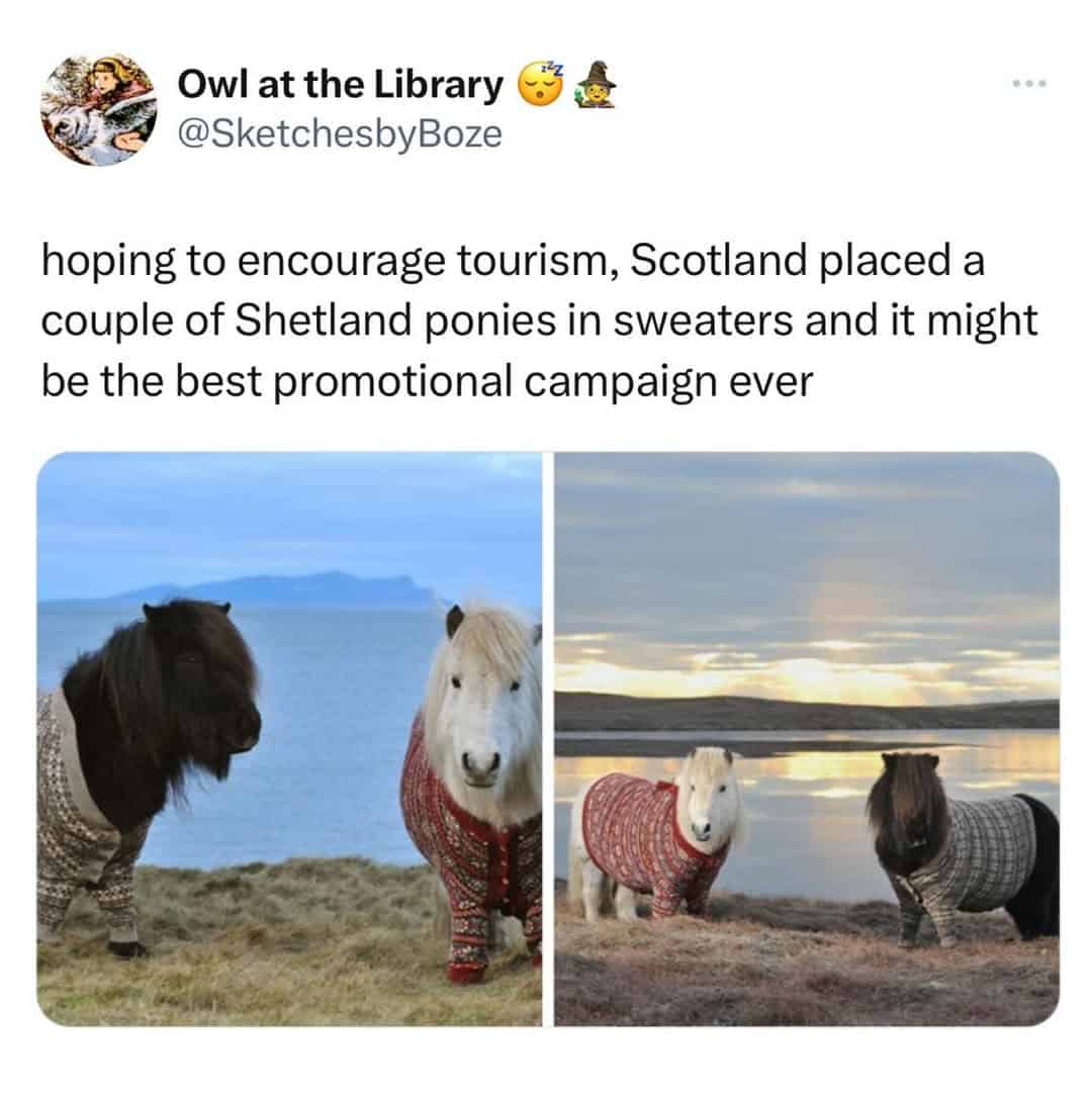 hoping to encourage tourism, Scotland placed a couple of Shetland ponies in sweaters and it might be the best promotional campaign ever