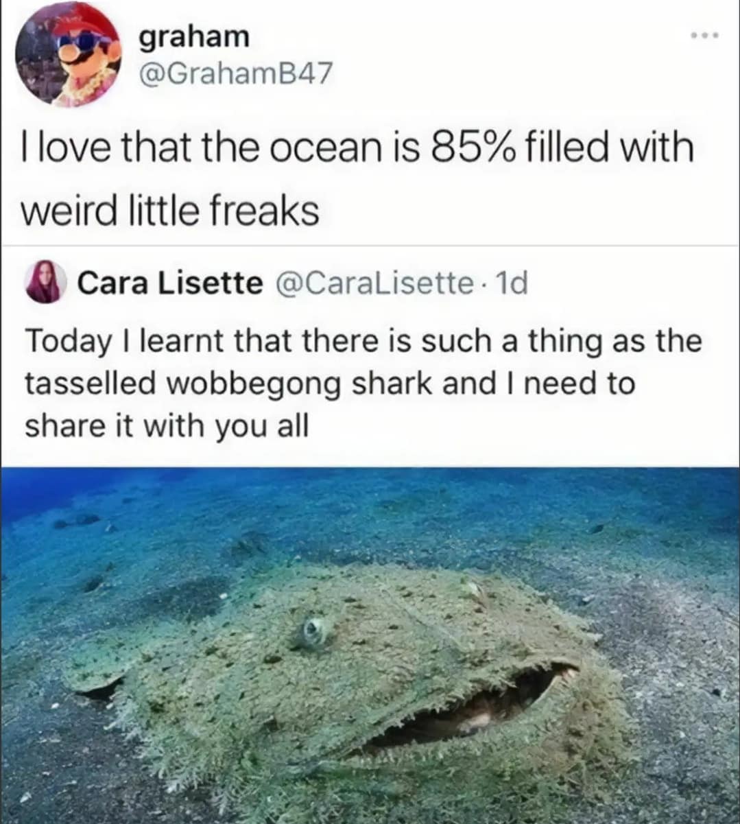 classic memes, vintage memes, viral tweets, funny internet content, Hilarious social media posts, Timeless memes, old memes