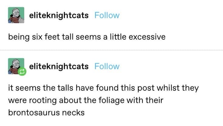 classic memes, vintage memes, viral tweets, old memes, best memes, comedic net relics, old internet jokes, enduring meme jokes, popular memes, mainstream comedic snapshots, top-tier net funnies, massively recognized images, timeless memes, never-expiring comedic bits, always relevant net jokes, indefinitely comedic references