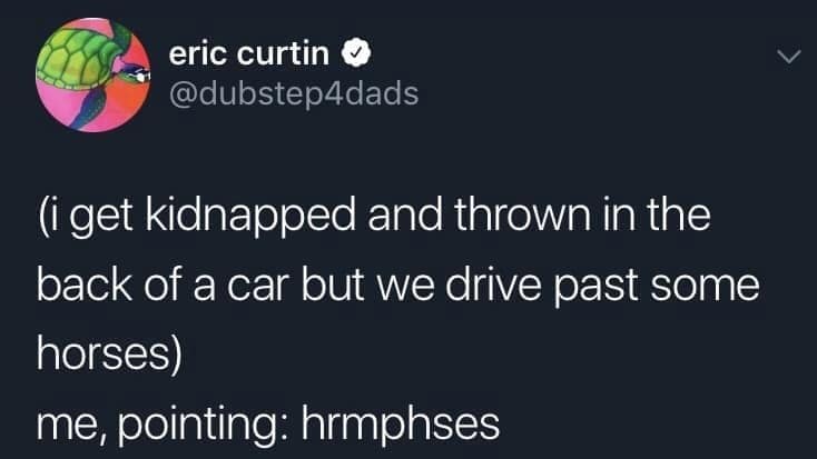 eric curtin O @dubstepdads (i get kidnapped and thrown in the back of a car but we drive past some horses) me, pointing: hrmphses