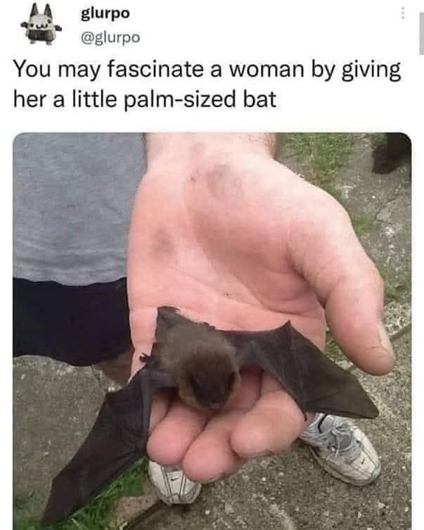 classic memes, vintage memes, viral tweets, comedic net relics, old-school net humor, perennial meme references, popular memes, mass-shared comedic bits, high-visibility internet jokes, audience favorite laughs, timeless memes, never-aging comedic pieces, always relevant net funnies, old comedic staples, old memes, best memes