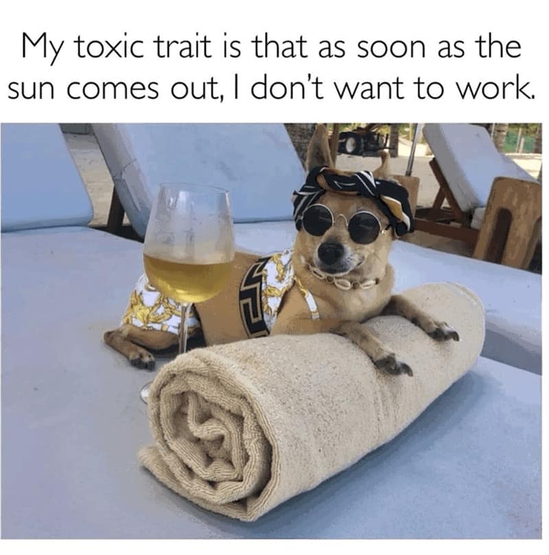 classic memes, vintage memes, viral tweets, old memes, best memes, comedic net relics, old-school internet jokes, perennial net humor, popular memes, widespread comedic phenomena, mainstream net references, widely used visual jokes, timeless memes, never-expiring comedic gold, perennial humor seeds, unstoppable net amusements