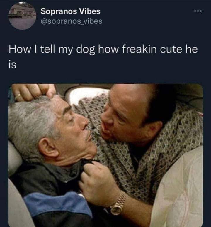 classic memes, vintage memes, viral tweets, old memes, best memes, older comedic seeds, net heritage jokes, enduring meme references, micro comedic text, timeline amusements, widely shared net lines, popular memes, mainstream comedic picks, net household jokes, recognized comedic visuals, timeless memes, indefinite comedic staples, repeated net references, never-aging comedic items