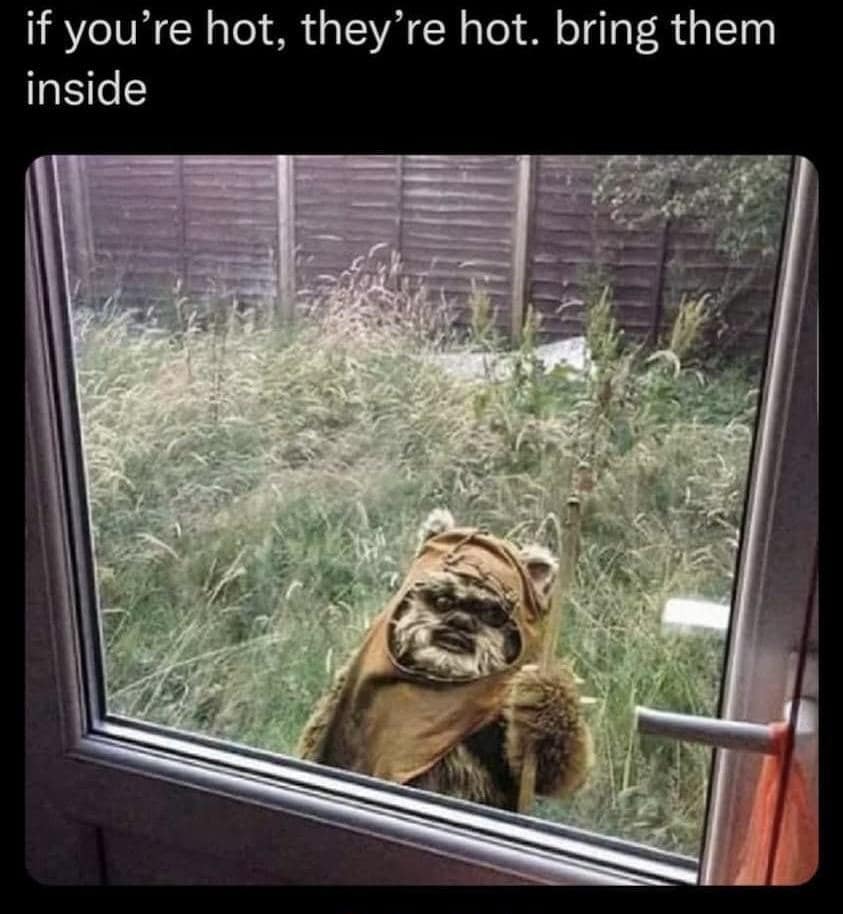 old memes, best memes, perennial net jokes, older comedic relics, stable humor references, short comedic blasts, widely shared net text lines, fleeting micro-laugh bits, popular memes, mainstream comedic snapshots, universal net amusements, recognized comedic picks, timeless memes, indefinite comedic illusions, net staples, jokes that outlive trends