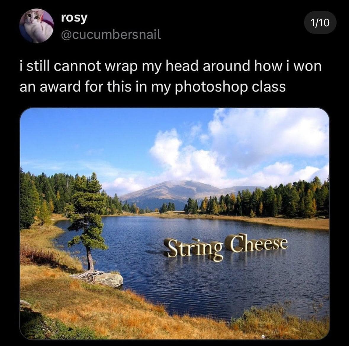 classic memes, vintage memes, viral tweets, old comedic relics, net vintage humor, everlasting meme references, old memes, best memes, micro-post comedic lines, widely shared comedic text, trending tweet wits, popular memes, mainstream net amusements, widely recognized comedic pictures, high-traffic humor bits, timeless memes, permanently relevant comedic illusions, indefinite net comedic staples, never-aging net jokes