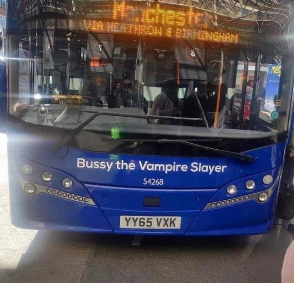 Bussy the Vampire Slayer
