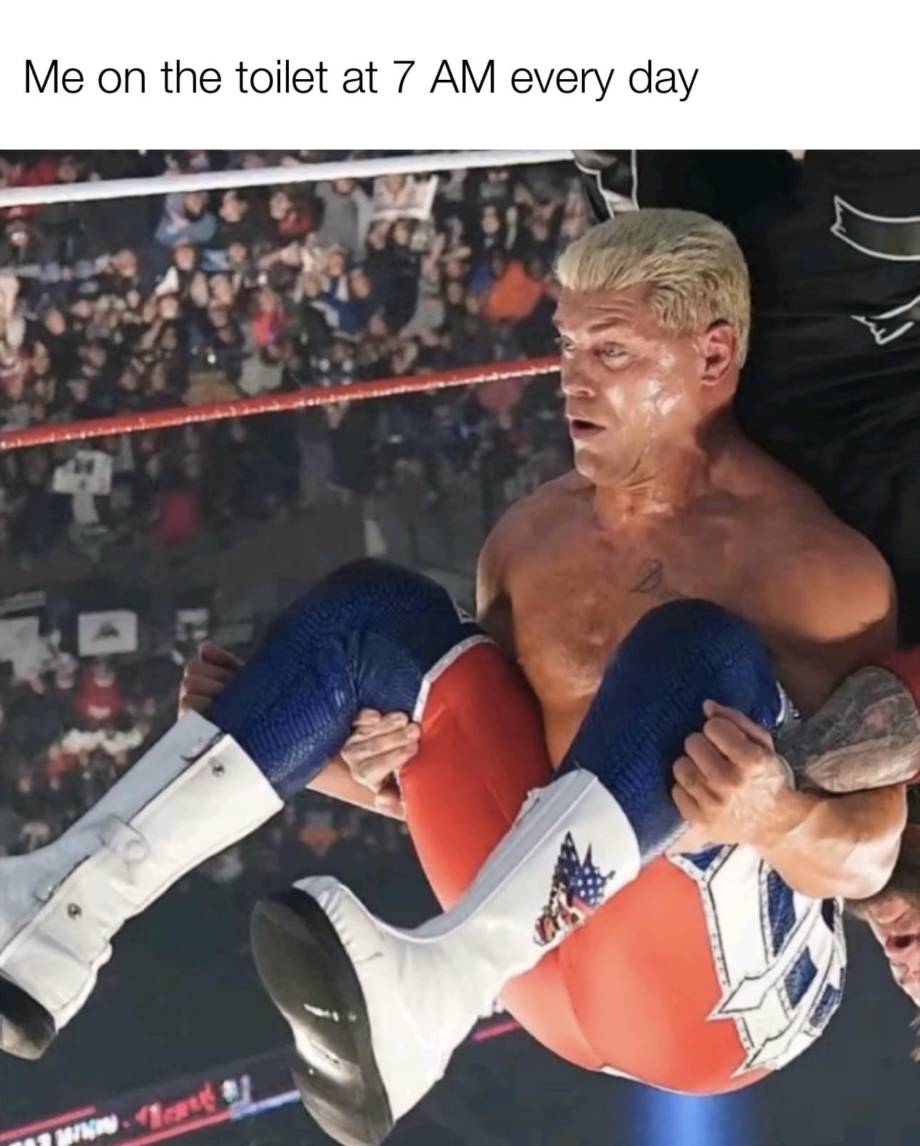 Me on the toilet at 7 AM every day