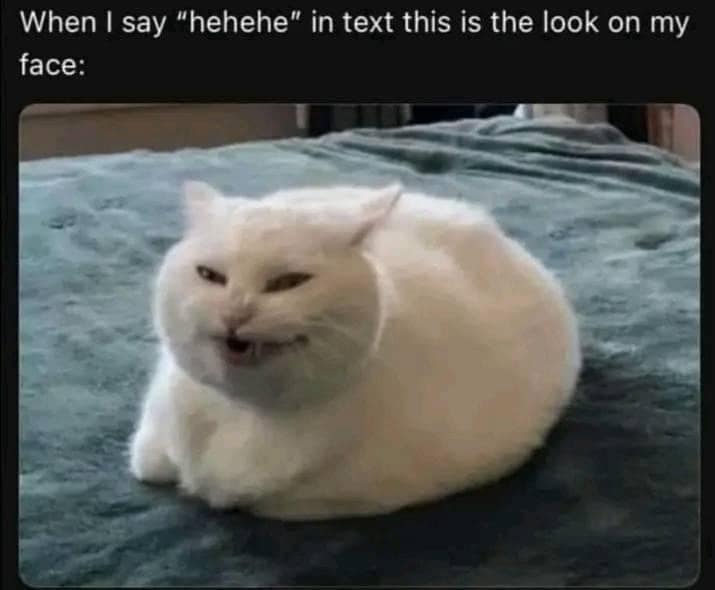 When I say "hehehe" in text this is the look on my face: