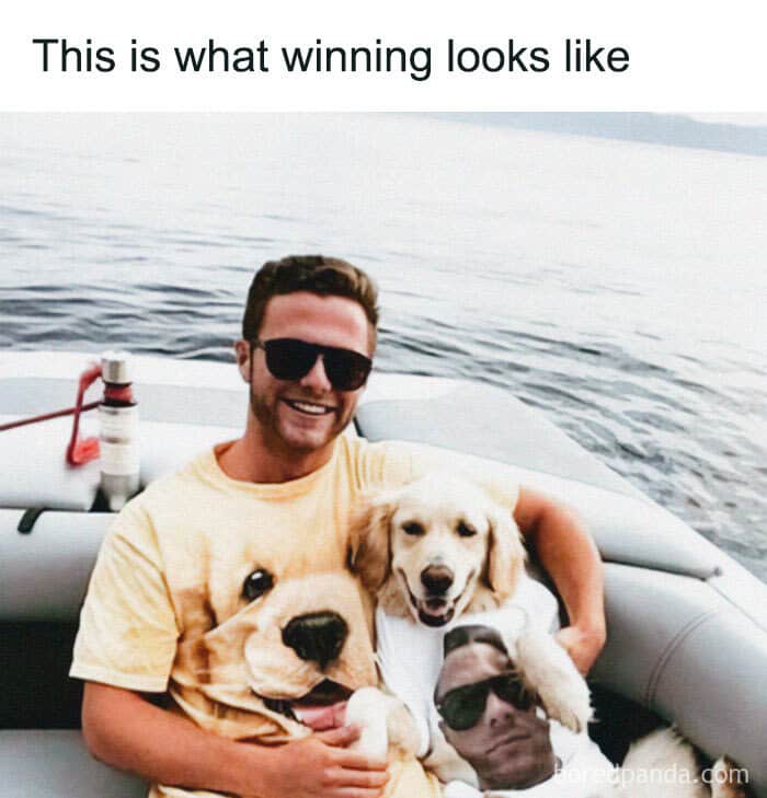 dog memes, wholesome dog memes, funny dog pictures: comedic canine snapshots, dog photo laughs, comedic dog images