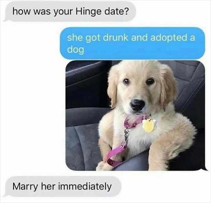 dog memes, wholesome dog memes, funny dog pictures: comedic canine snapshots, dog photo laughs, comedic dog images