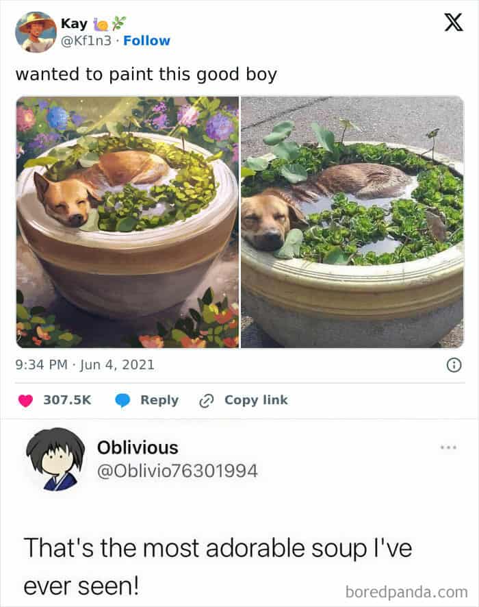 dog memes, wholesome dog memes, funny dog pictures: comedic canine snapshots, dog photo laughs, comedic dog images