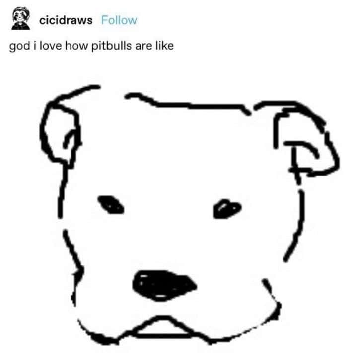 dog memes, wholesome dog memes, funny dog pictures: comedic canine snapshots, dog photo laughs, comedic dog images