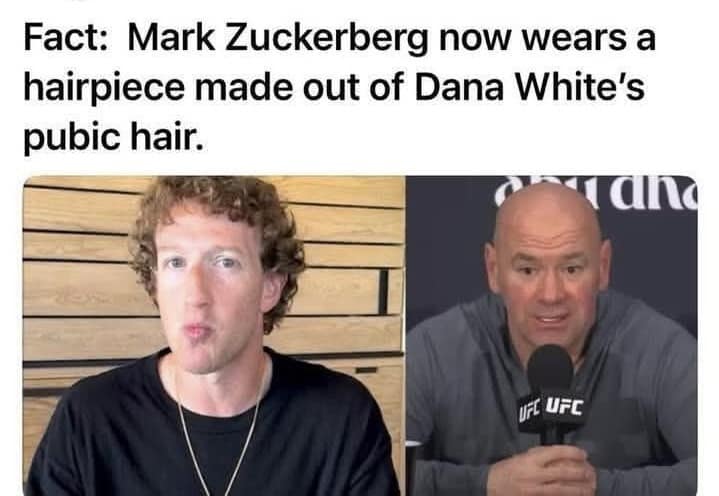 facebook fact checking memes, zuckerberg memes, fb fact checker memes, zuckerberg fact checking memes, fb fact-check memes, social media misinformation jokes, facebook fact-check humor, meta jokes, facebook memes